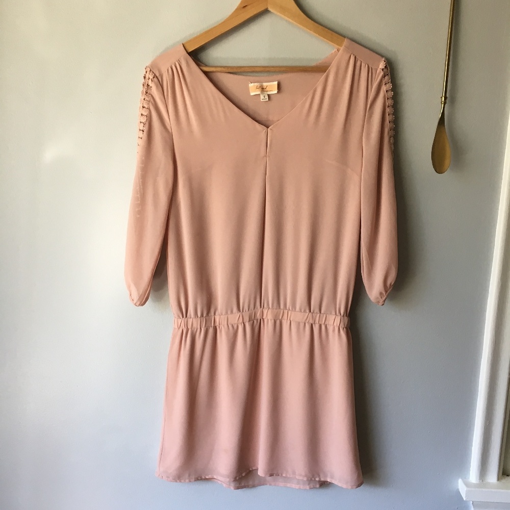 Naked Zebra | Blush Drop Waist Dress